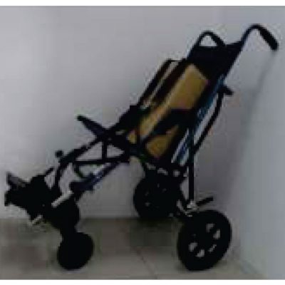 Transporter Buddy Buggy Wheelchair